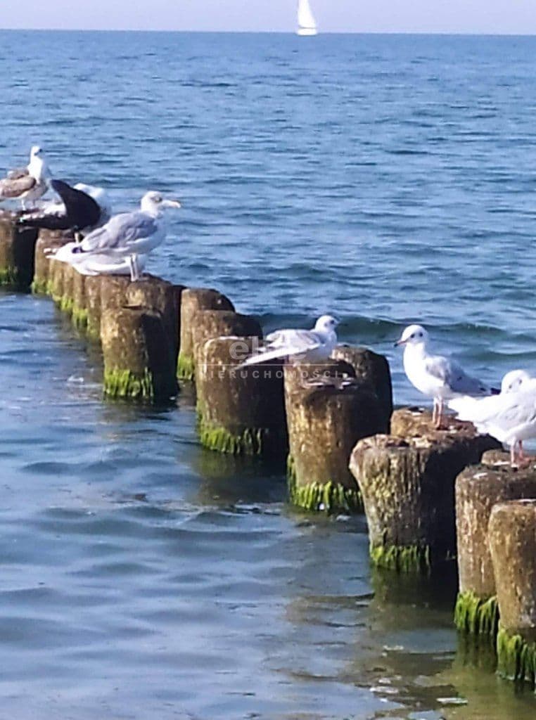 Rewal, Zachodniopomorskie