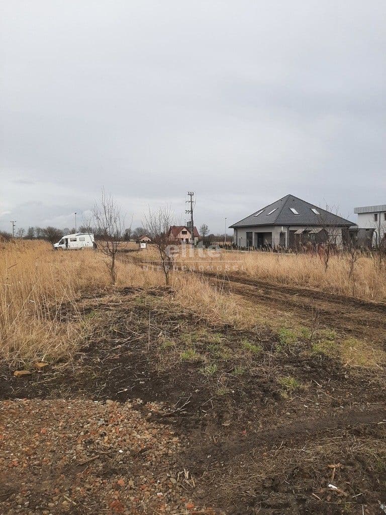 Pyrzyce, Zachodniopomorskie