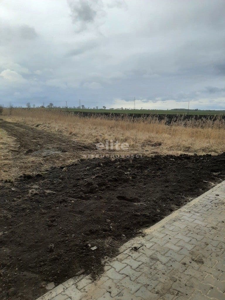 Pyrzyce, Zachodniopomorskie