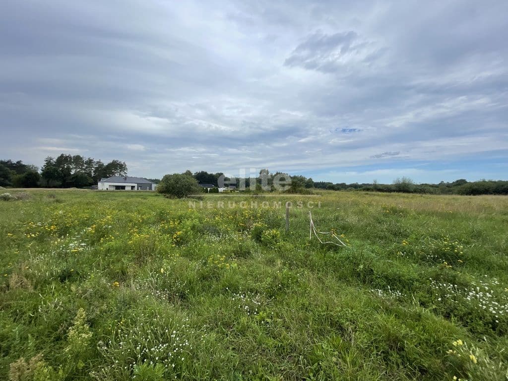 Tanowo, Zachodniopomorskie