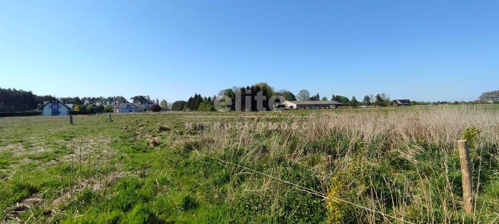 Modrzewie, Zachodniopomorskie