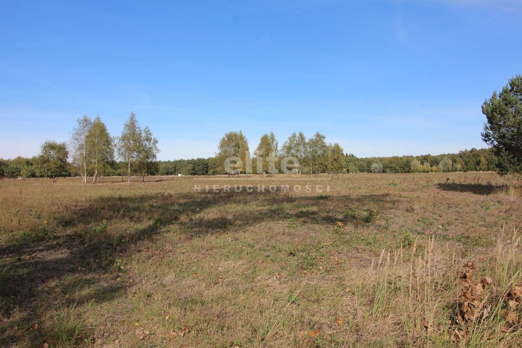 Grzepnica, Zachodniopomorskie