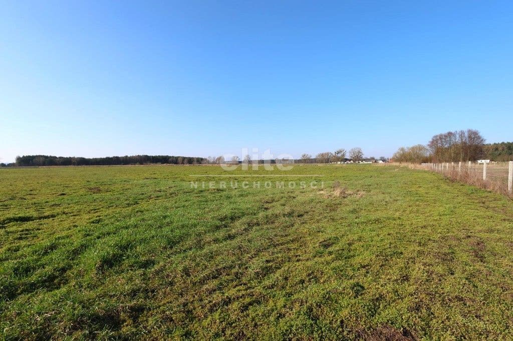 Lubczyna, Zachodniopomorskie