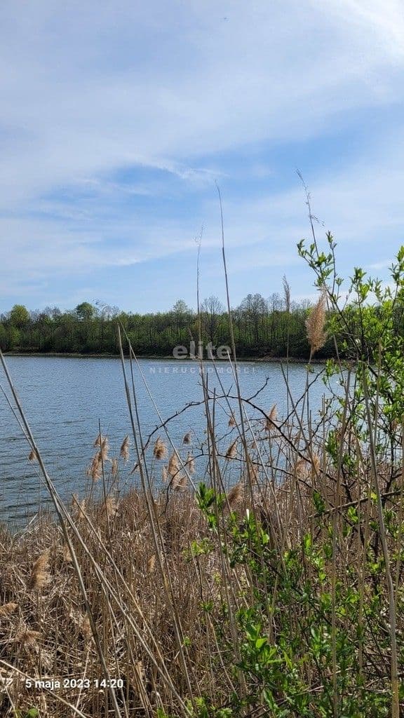 Zieleniewo, Zachodniopomorskie