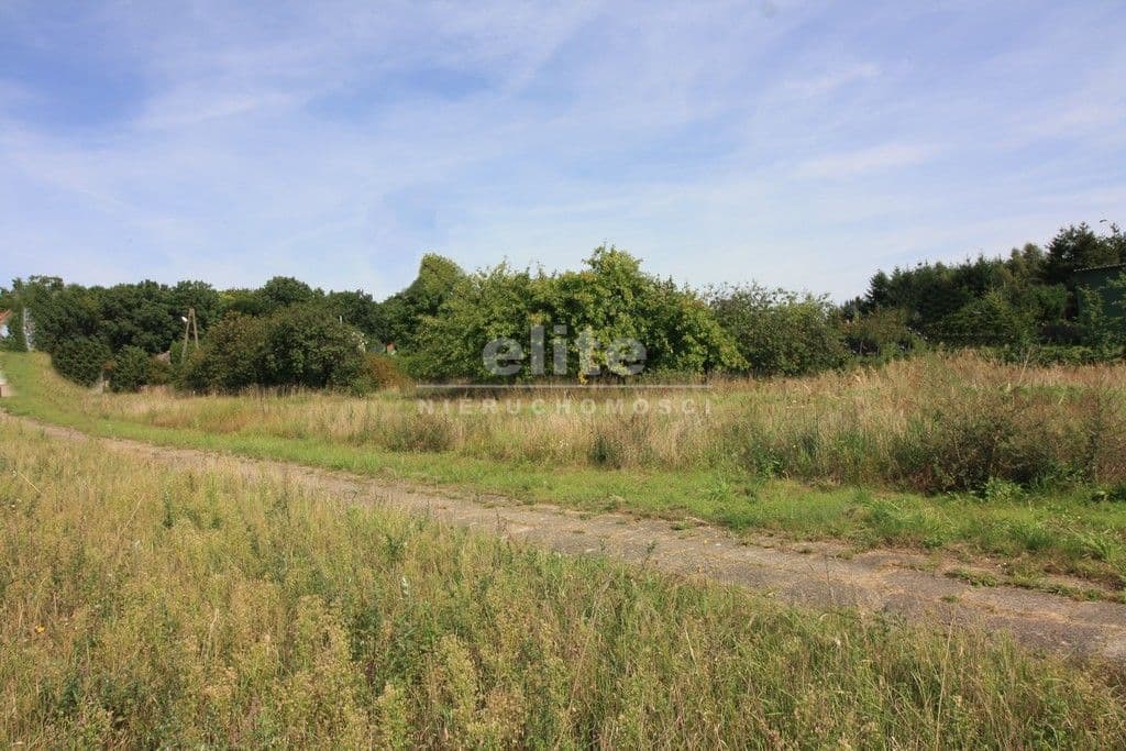 Ińsko, Zachodniopomorskie