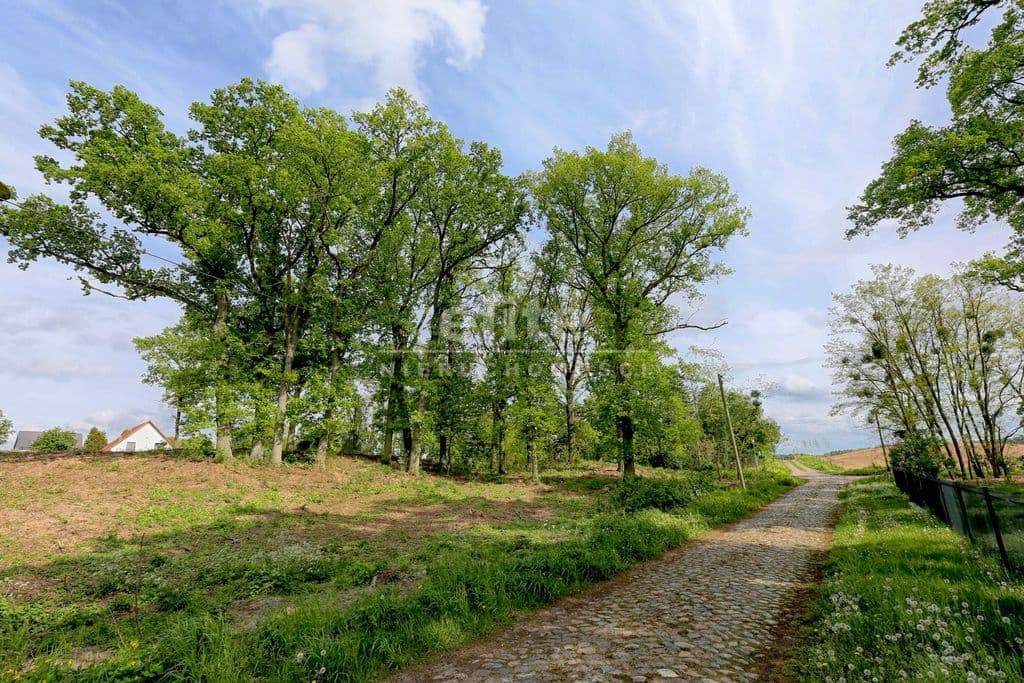 Dołuje, Zachodniopomorskie