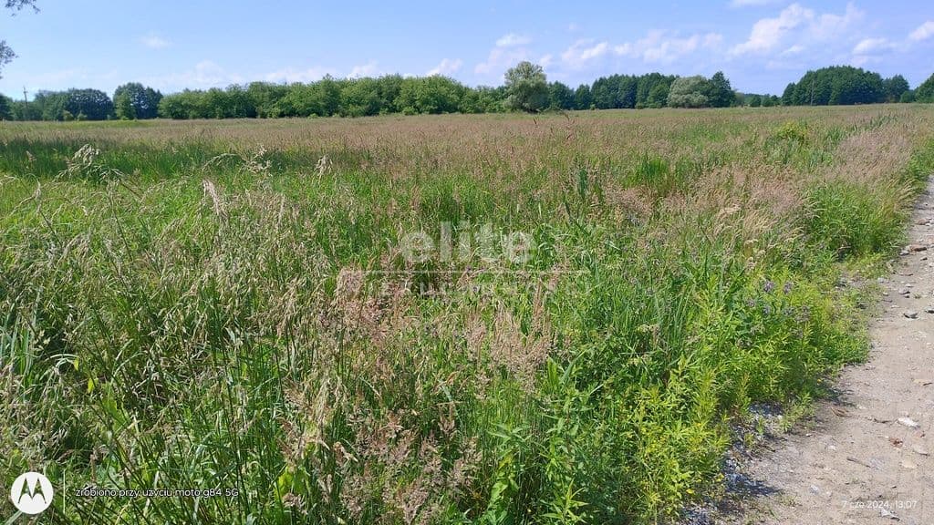 Łęgi, Zachodniopomorskie