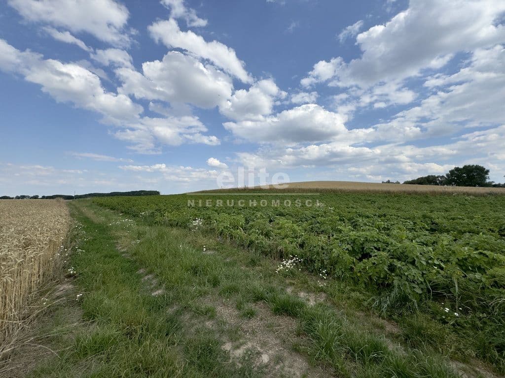 Bielice, Zachodniopomorskie