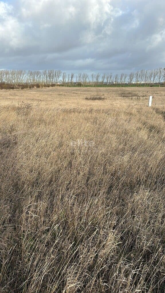Działka na sprzedaż, Warzymice, Zachodniopomorskie, 1027m2, 325 000 zł - zdjęcie 7