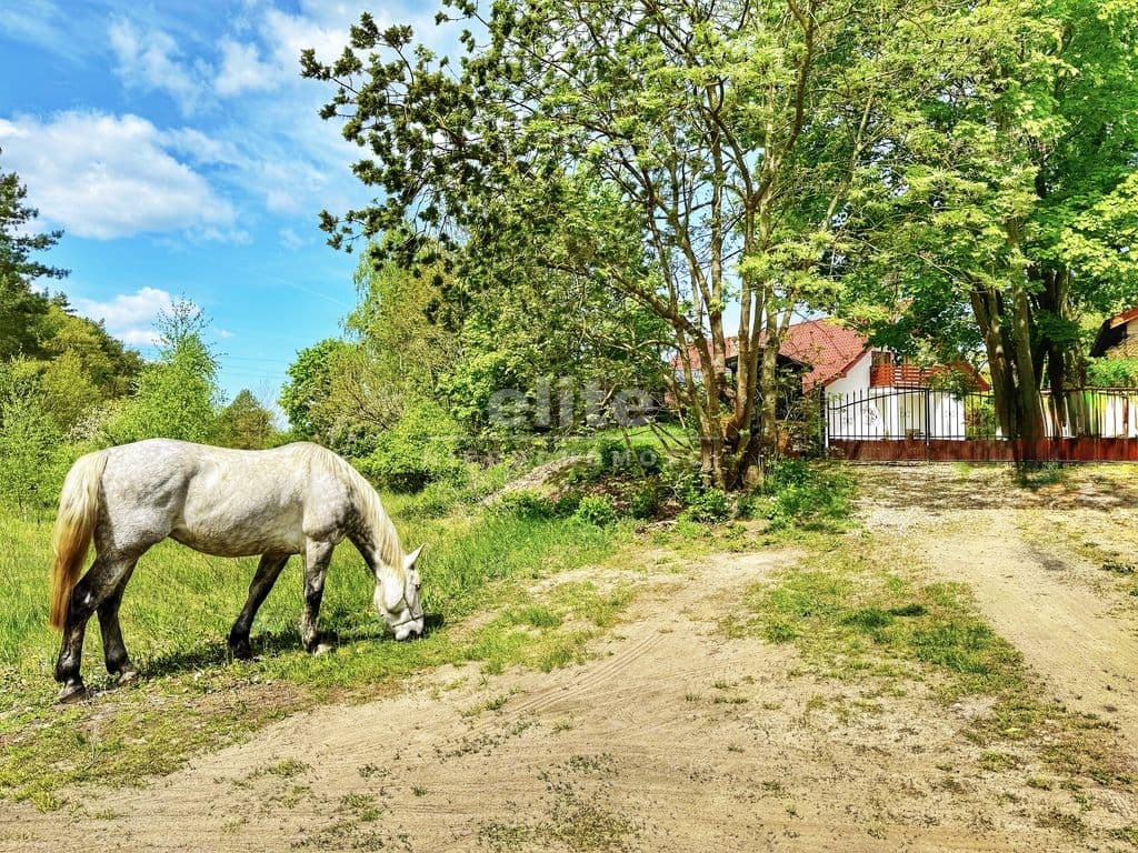 Dom wolnostojący na sprzedaż, Trzeszczyn, Zachodniopomorskie, 310m2, 7 pokoi, 2 200 000 zł - zdjęcie 1