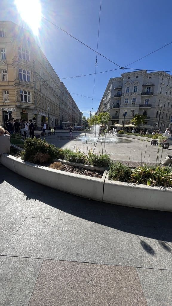 Lokal na wynajem, Centrum, Szczecin, 108m2, 5000 zł - zdjęcie 13