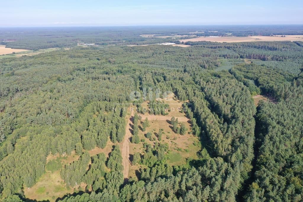 Działka na sprzedaż, Krzywice, Zachodniopomorskie, 3249m2, 99 900 zł - zdjęcie 5