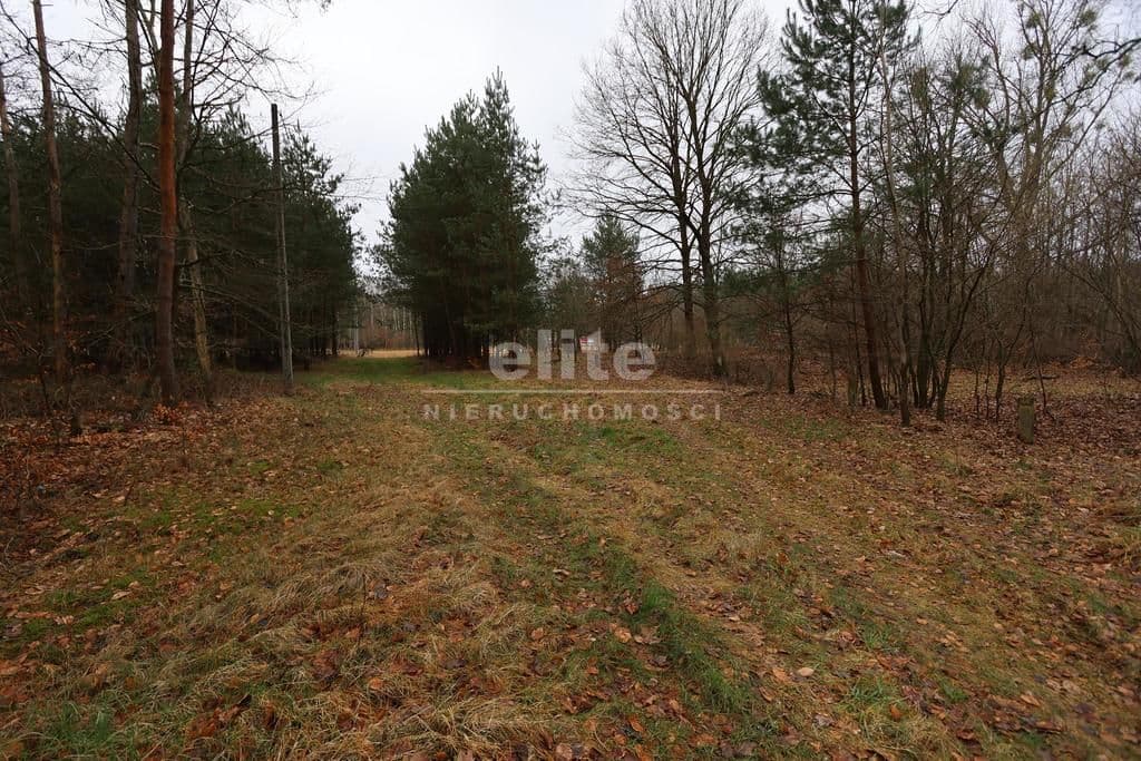 Działka na sprzedaż, Krzywice, Zachodniopomorskie, 3249m2, 99 900 zł - zdjęcie 8