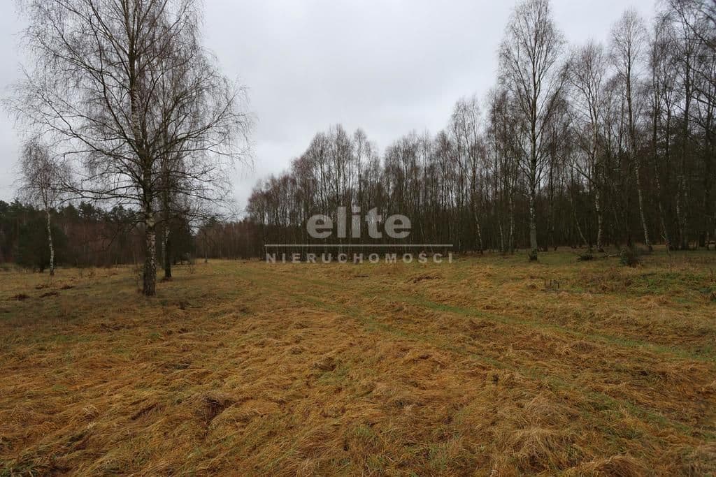 Działka na sprzedaż, Krzywice, Zachodniopomorskie, 3249m2, 99 900 zł - zdjęcie 9