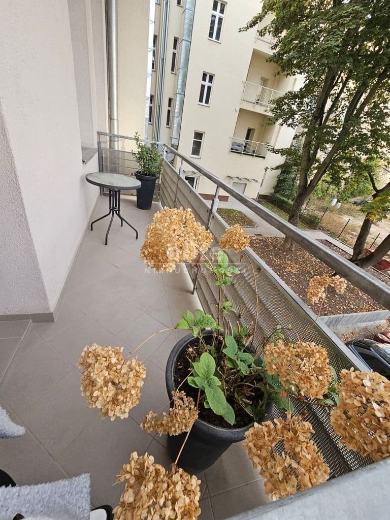 Mieszkanie na sprzedaż, Śródmieście-Centrum, Szczecin, 70m2, 3 pokoje, 985 000 zł - zdjęcie 4