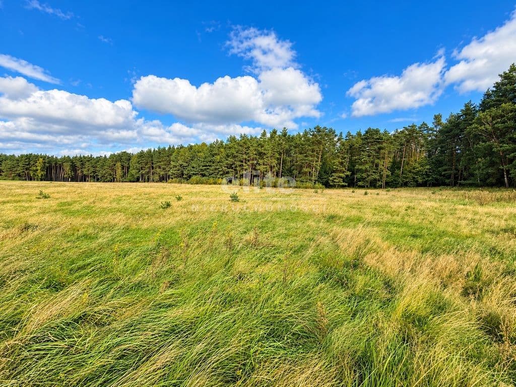 Działka na sprzedaż, Drzewica, Zachodniopomorskie, 3813m2, 80 000 zł - zdjęcie 2