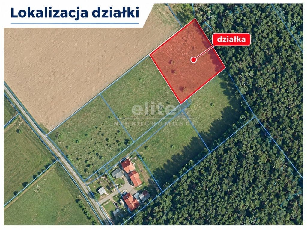 Działka na sprzedaż, Drzewica, Zachodniopomorskie, 3813m2, 80 000 zł - zdjęcie 4