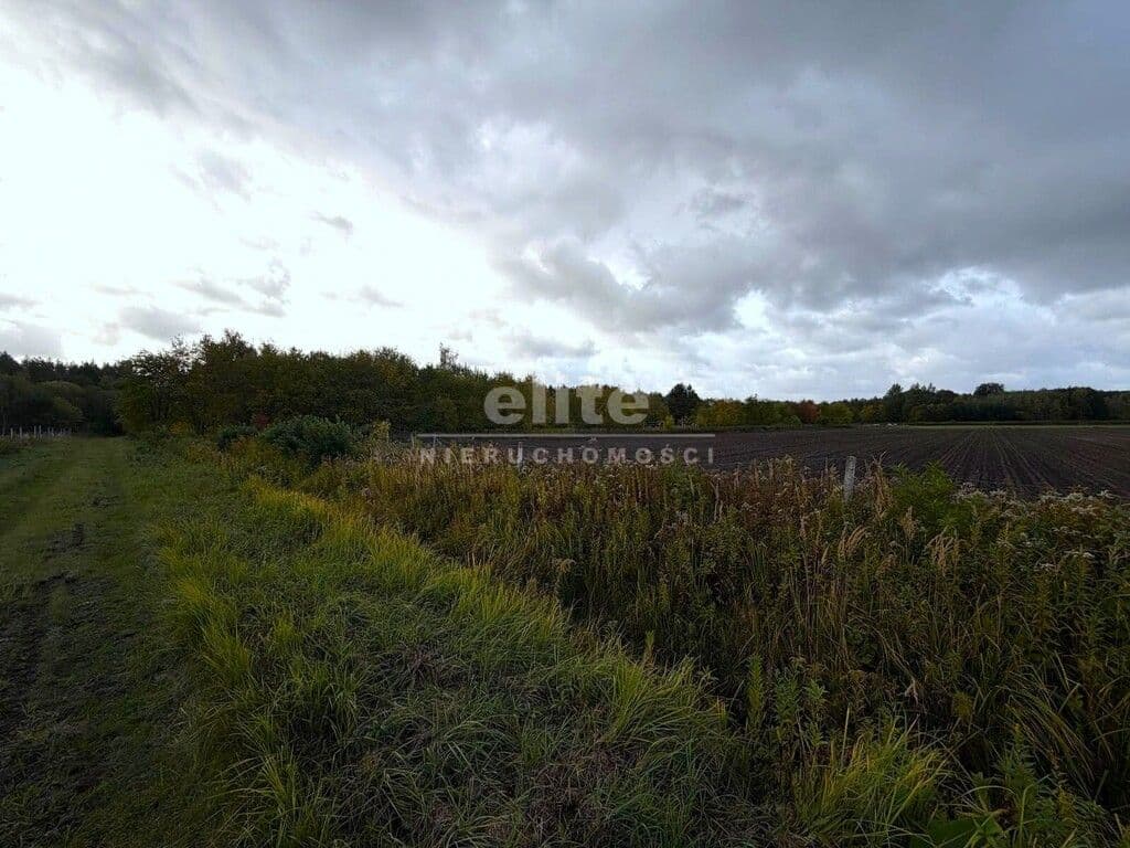 Działka na sprzedaż, Sławociesze, Szczecin, 6910m2, 525 000 zł - zdjęcie 2