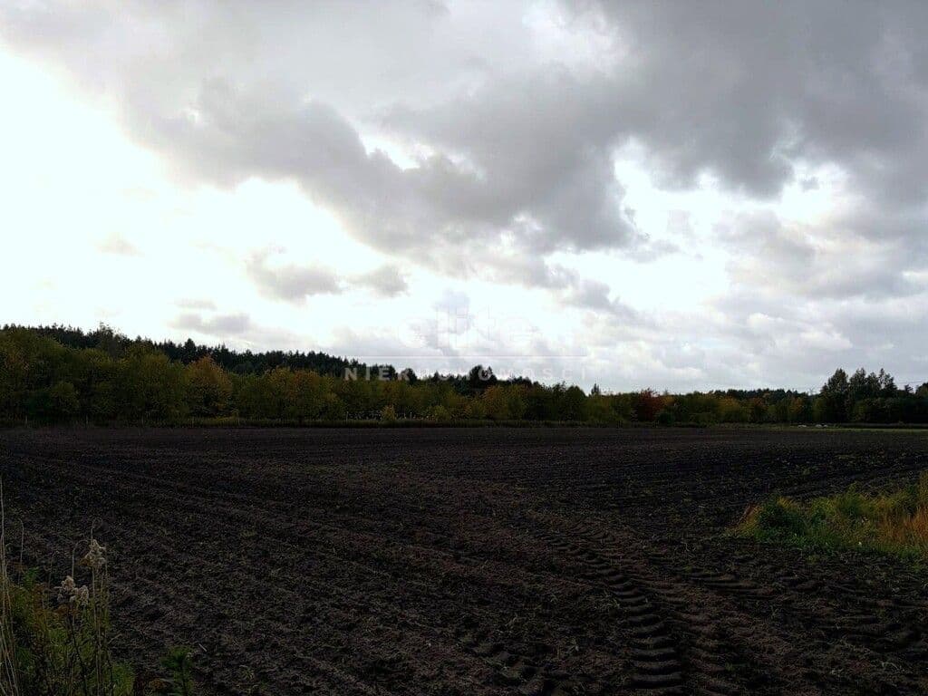 Działka na sprzedaż, Sławociesze, Szczecin, 6910m2, 525 000 zł - zdjęcie 3