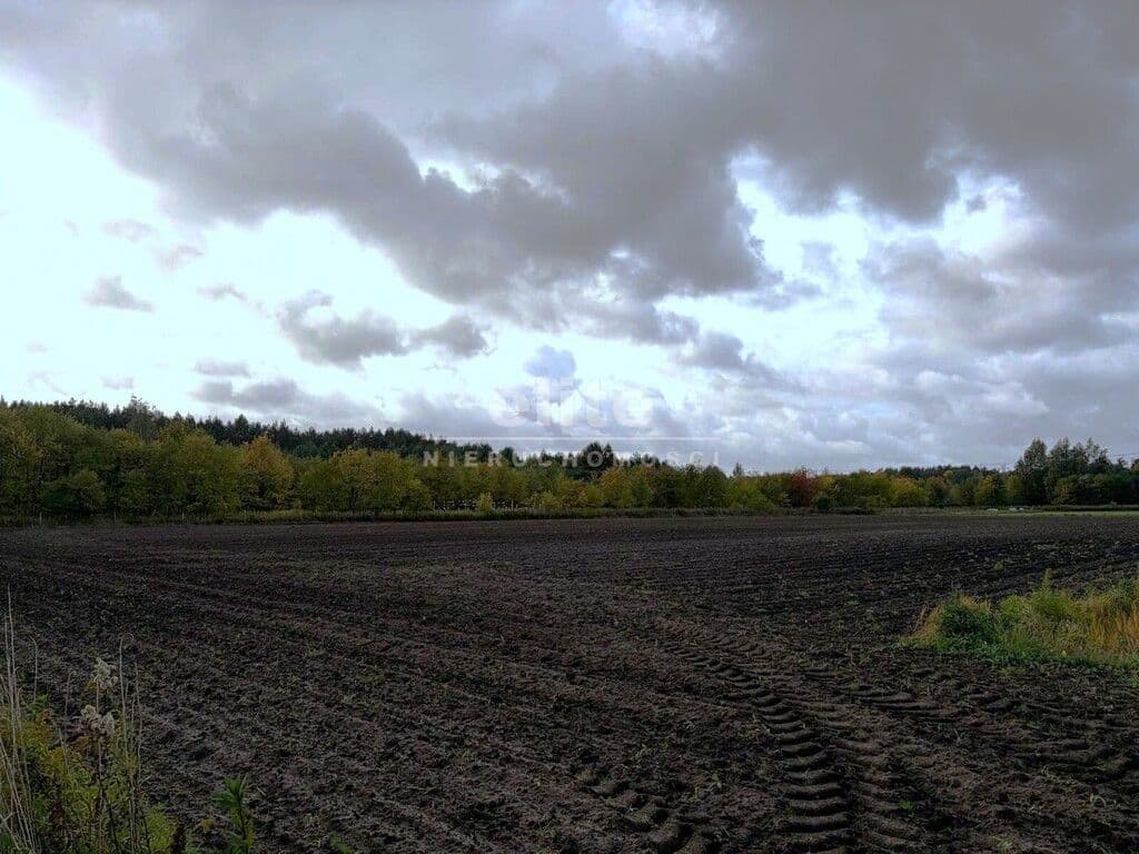 Działka na sprzedaż, Sławociesze, Szczecin, 6910m2, 525 000 zł - zdjęcie 4