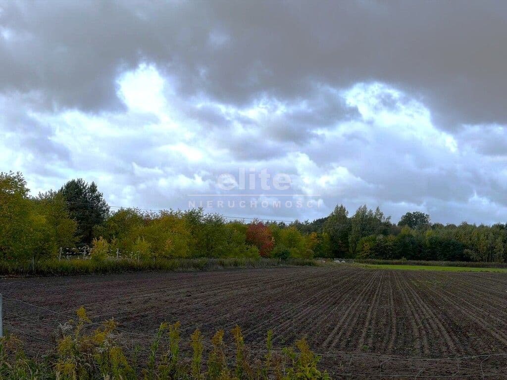 Działka na sprzedaż, Sławociesze, Szczecin, 6910m2, 525 000 zł - zdjęcie 5