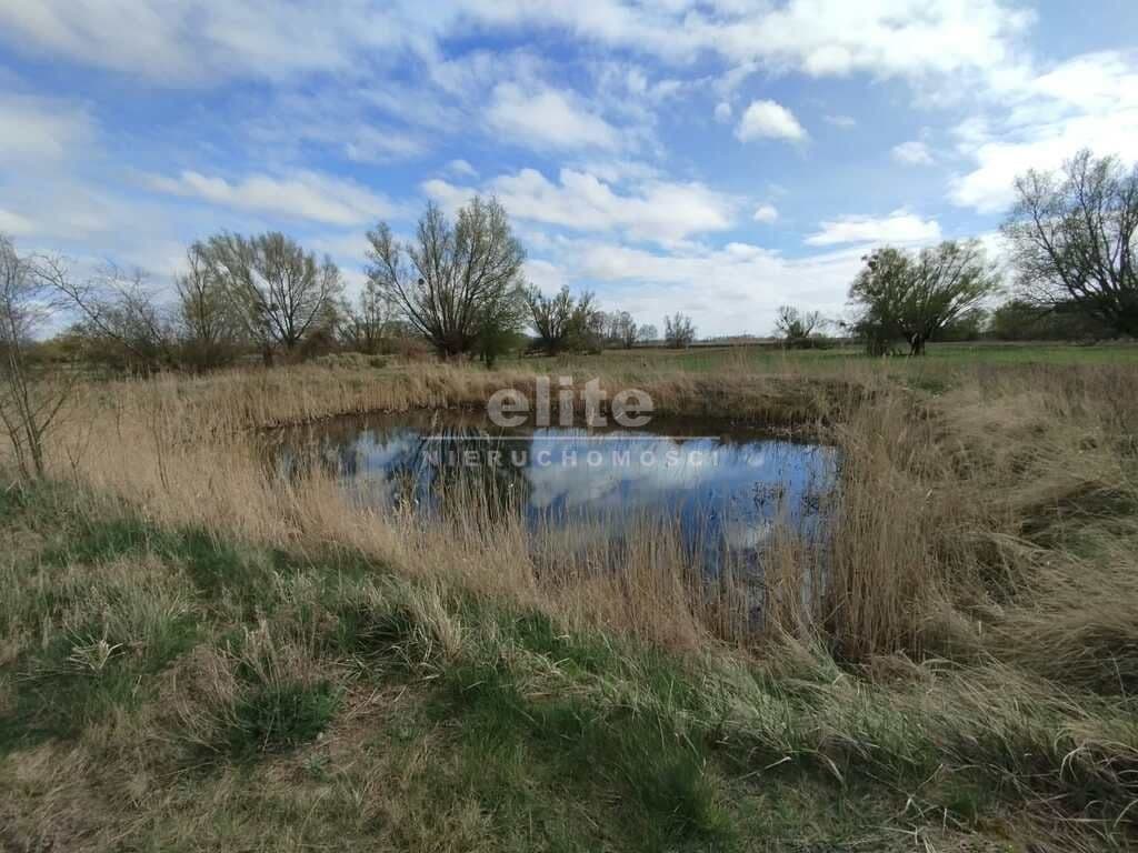 Dom wolnostojący na sprzedaż, Stepniczka, Zachodniopomorskie, 207m2, 6 pokoi, 880 000 zł - zdjęcie 2