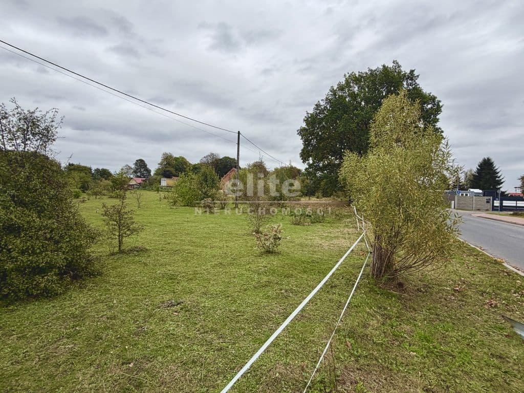 Działka na sprzedaż, Żółwia Błoć, Zachodniopomorskie, 6000m2, 590 000 zł - zdjęcie 5
