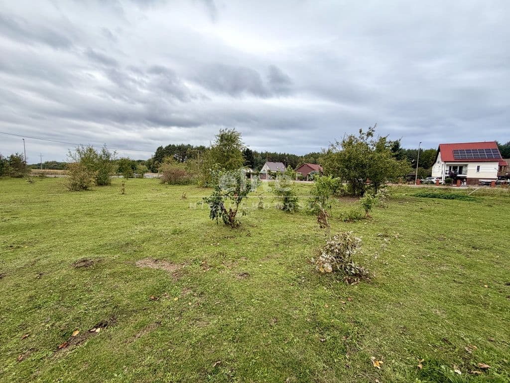 Działka na sprzedaż, Żółwia Błoć, Zachodniopomorskie, 6000m2, 590 000 zł - zdjęcie 7