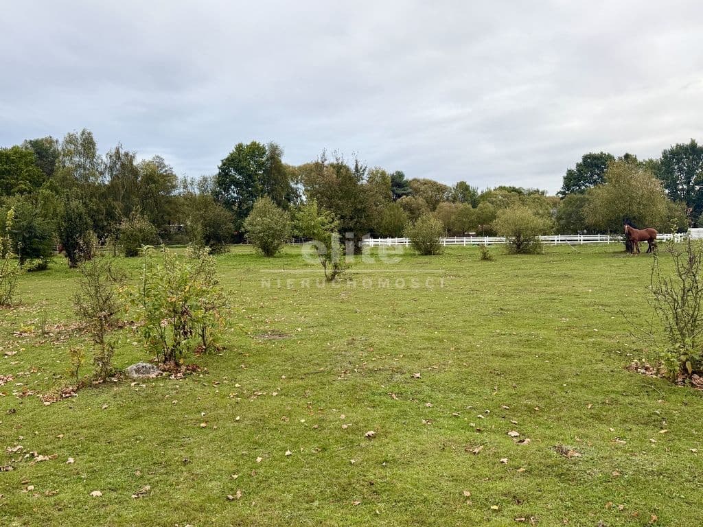 Działka na sprzedaż, Żółwia Błoć, Zachodniopomorskie, 6000m2, 590 000 zł - zdjęcie 8