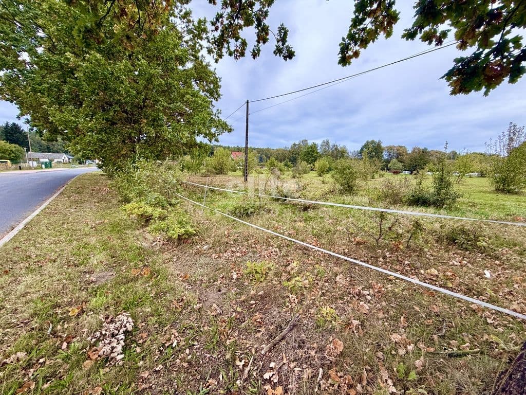 Działka na sprzedaż, Żółwia Błoć, Zachodniopomorskie, 3000m2, 290 000 zł - zdjęcie 3
