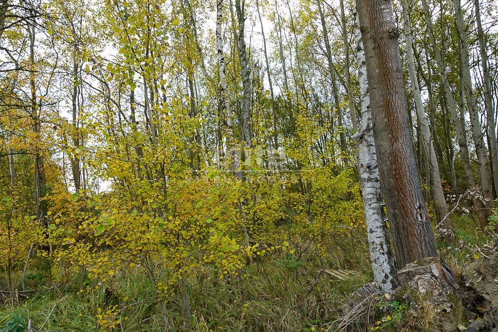 Działka na sprzedaż, Kobylanka, Zachodniopomorskie, 894m2, 238 000 zł - zdjęcie 1