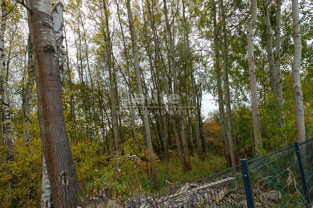 Działka na sprzedaż, Kobylanka, Zachodniopomorskie, 894m2, 238 000 zł - zdjęcie 2