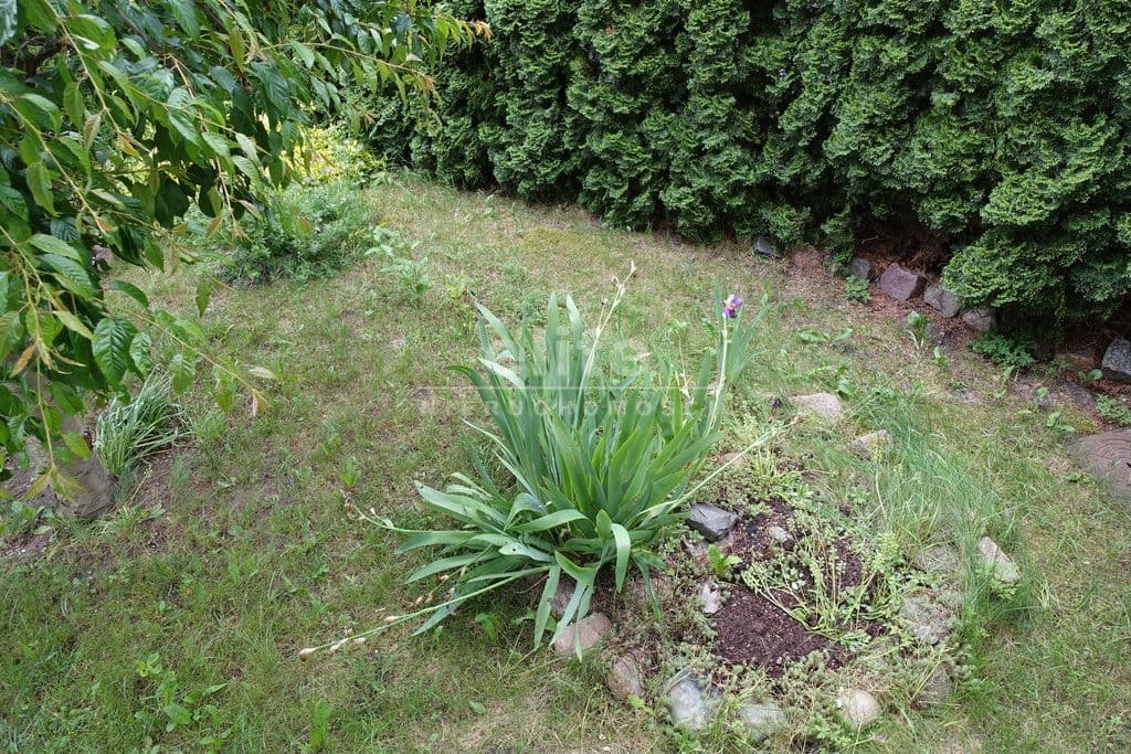 Mieszkanie na wynajem, Warzymice, Zachodniopomorskie, 43m2, 2 pokoje, 2500 zł - zdjęcie 15