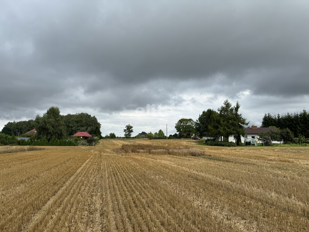 Działki na sprzedaż KOLONIA MASZEWO