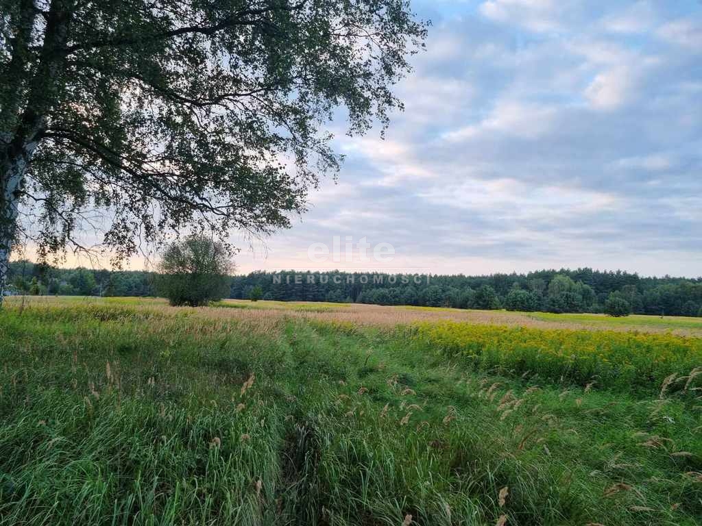 Działki na sprzedaż WIELGOWO SZCZECIN