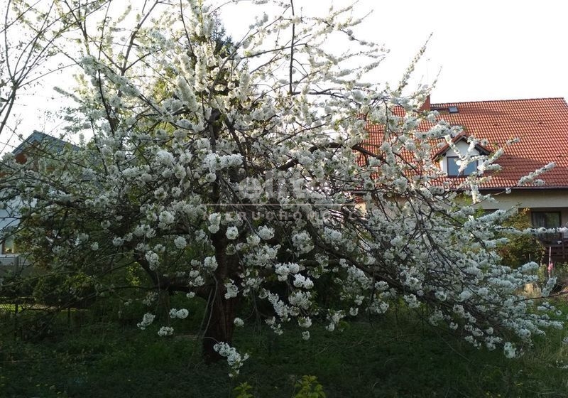 Działki na sprzedaż POGODNO SZCZECIN