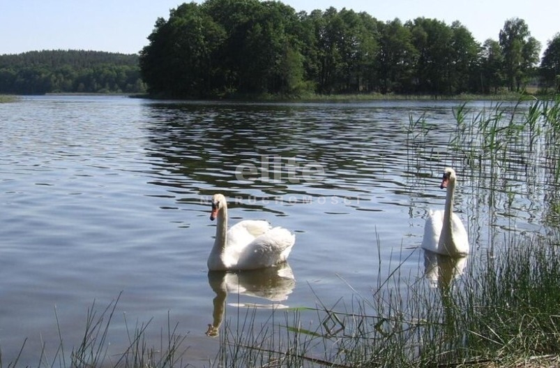 Działki na sprzedaż ZABIERZEWO