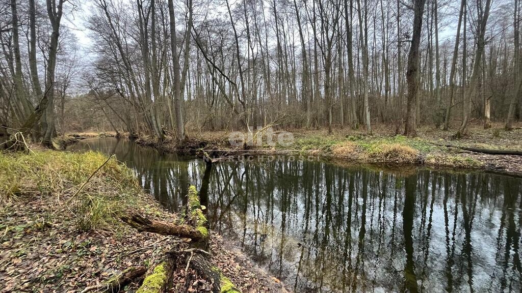 Działki na sprzedaż PŁONIA SZCZECIN