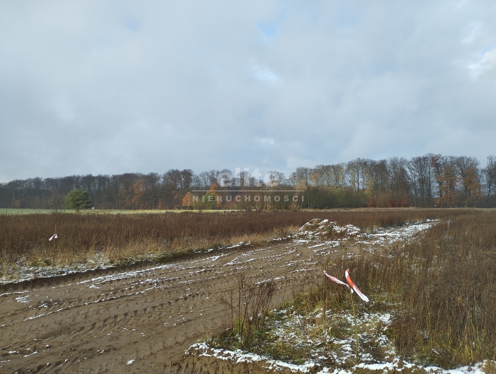 Działki na sprzedaż DOBROPOLE GRYFIŃSKIE