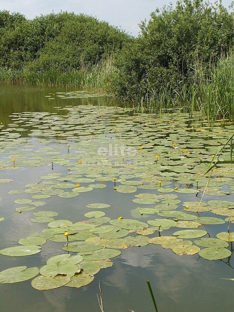 Działki na sprzedaż GIŻYN