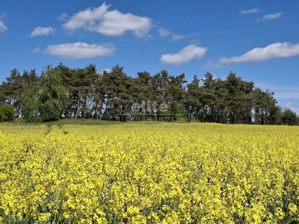 Działki na sprzedaż PARSÓW