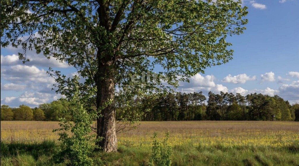 Działki na sprzedaż JARNATÓW