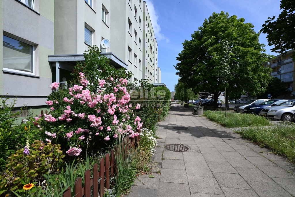Mieszkania na sprzedaż OS. MAJOWE SZCZECIN