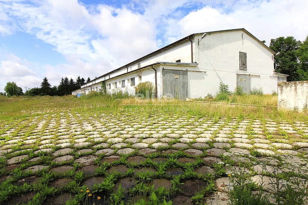 Obiekty komercyjne na sprzedaż STRZYŻNO