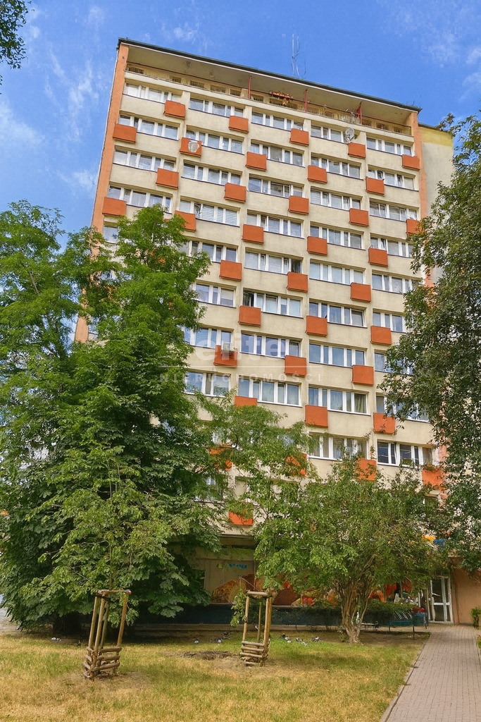 Mieszkania na wynajem ŚRÓDMIEŚCIE-CENTRUM SZCZECIN