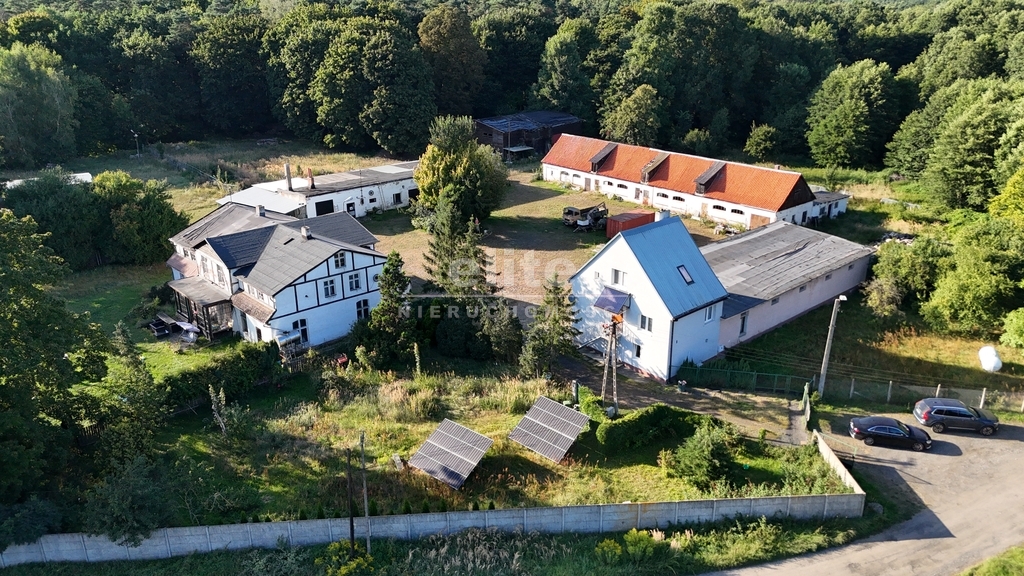 Obiekty komercyjne na sprzedaż SIERAKOWO