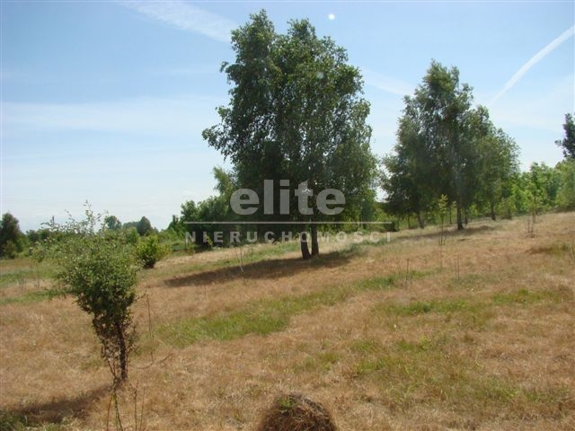 Działki na sprzedaż STARGARD