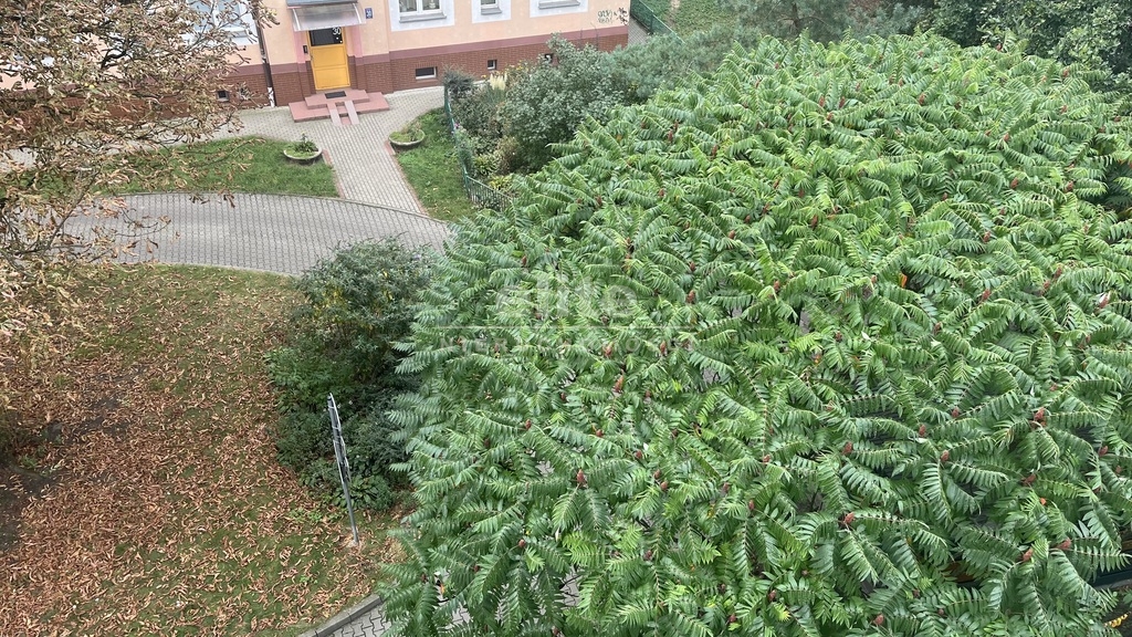 Mieszkania na sprzedaż POGODNO SZCZECIN