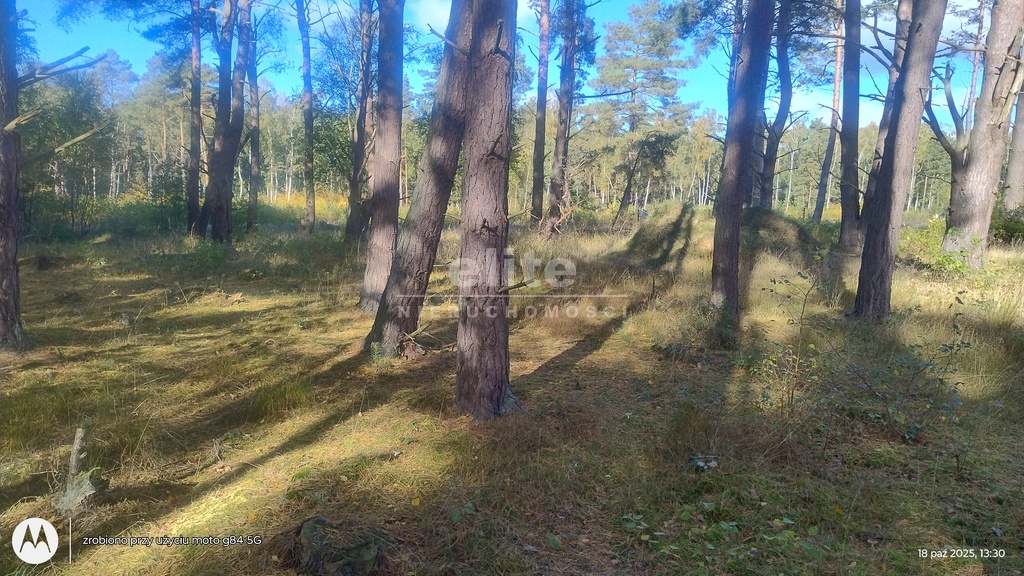 Działki na sprzedaż DZIWNÓW