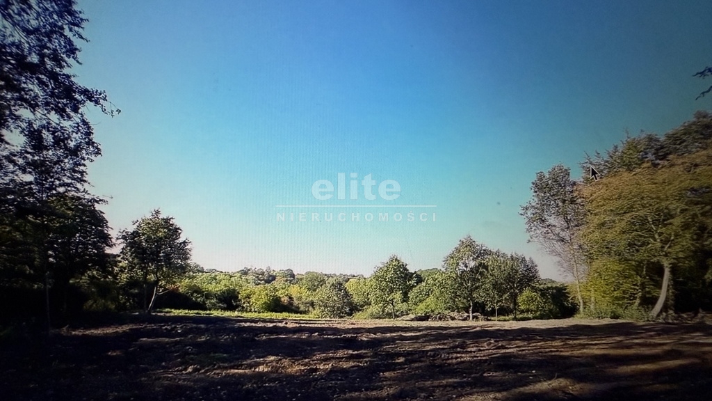 Działki na sprzedaż SKOLWIN SZCZECIN